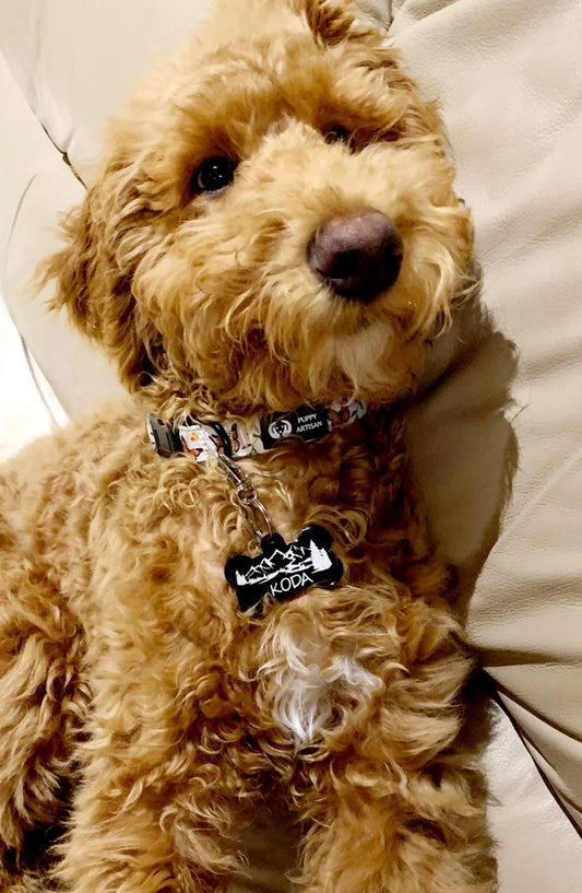 Mountains Resin Pet Tag - Puppy Artisan