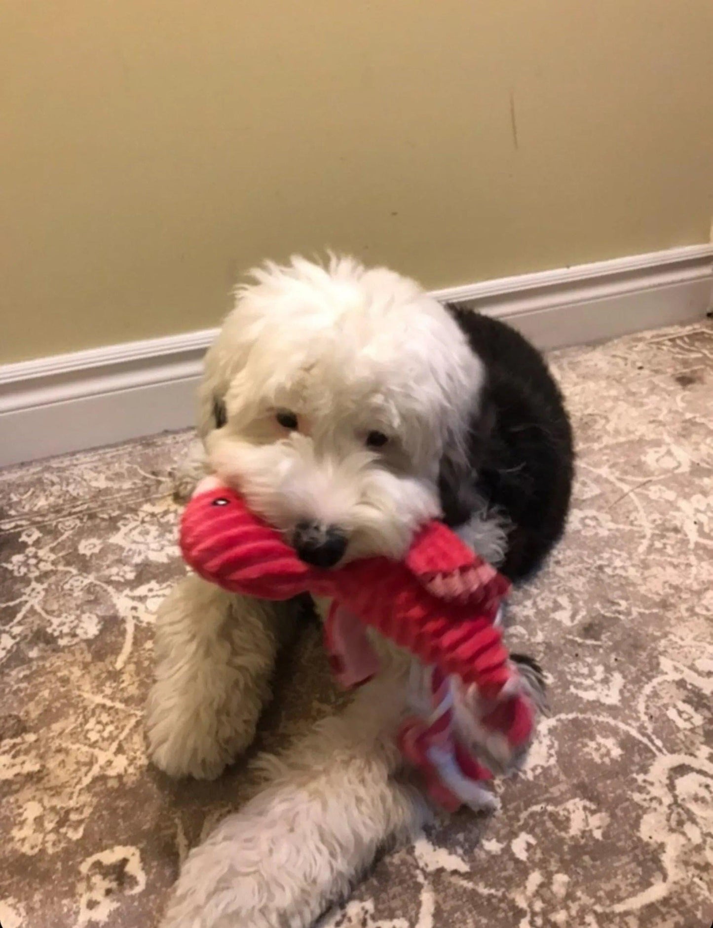 Pinky Flamingo Plush Toy - Puppy Artisan