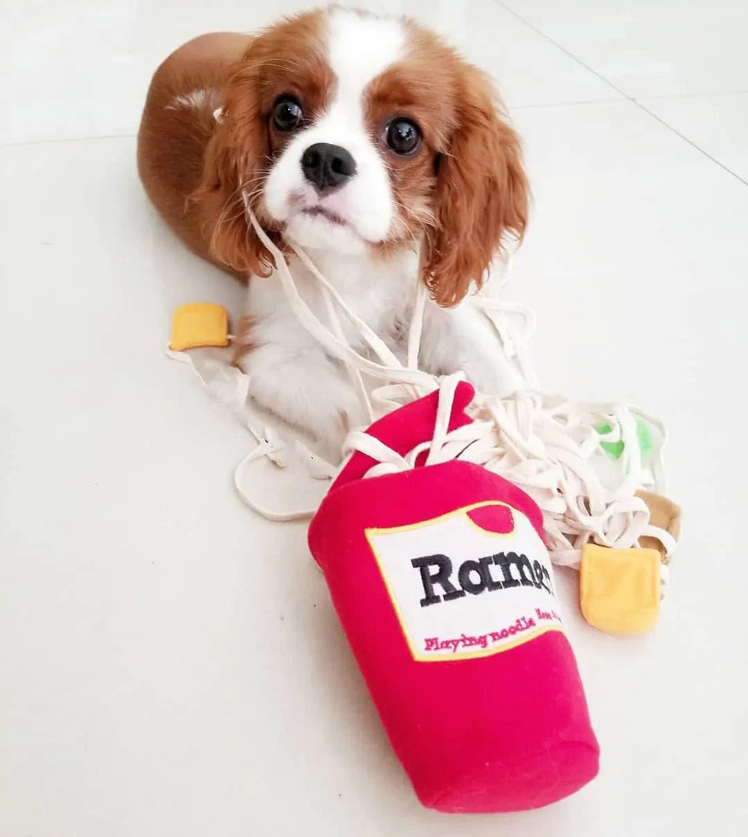 Ramen Sniffing Plush Toy - Puppy Artisan