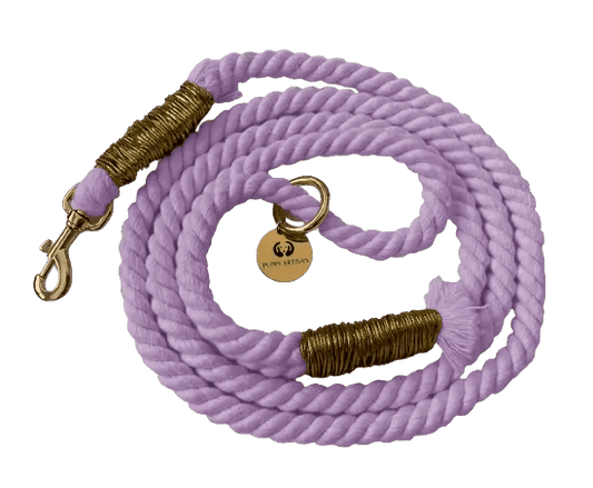 Spring Collection Collars & Leashes - Puppy Artisan