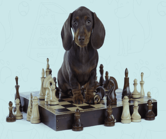 Dog Playing Chess