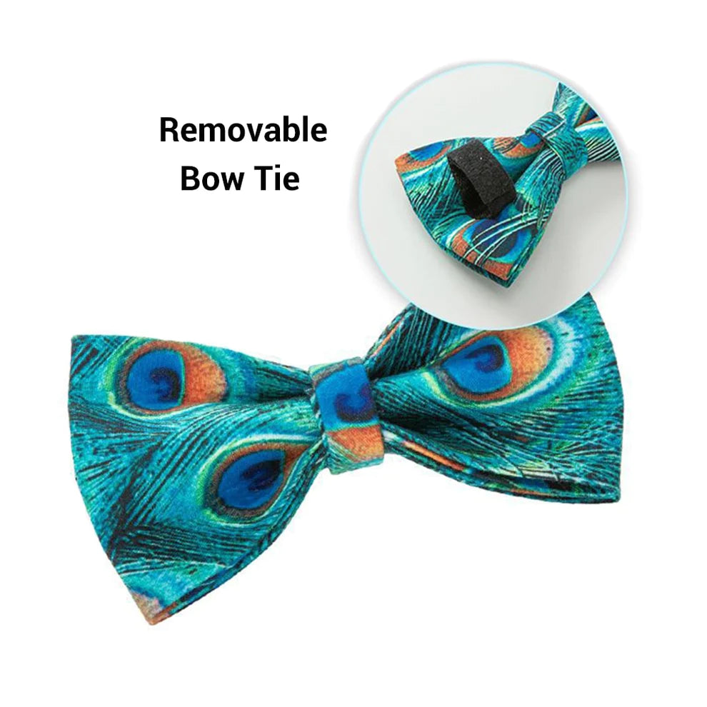 Peacock Collar Leash Bowtie Set | Puppy Artisan