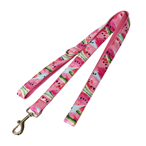 Pet Supplies Dog Collar Pet Leash | Puppy Artisan