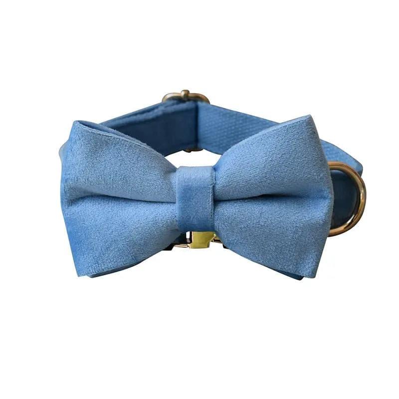 Baby Blue Velvet Collar Leash Bowtie Set - Puppy Artisan