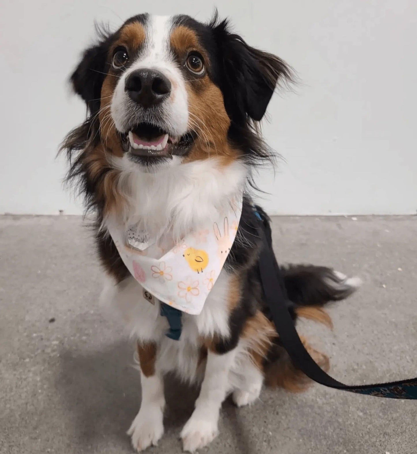 Boho Easter Rainbows Bandana - Puppy Artisan