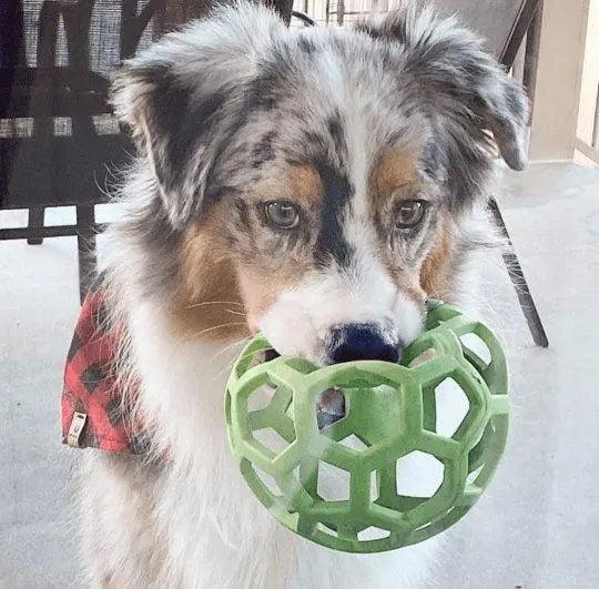 Buffalo Plaid Bandana - Puppy Artisan