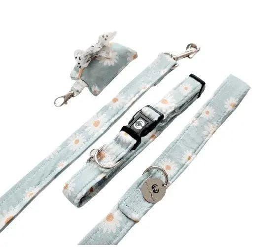 Collar and Leash Bundle Set - Puppy Artisan