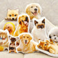 Custom Cute Pet Pillow - Puppy Artisan