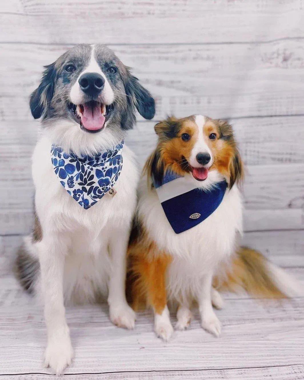 Denim Casual Chic Bandana Puppy Artisan - Main Image
