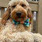Double Layers Bow Ties & Hair Clips - Puppy Artisan
