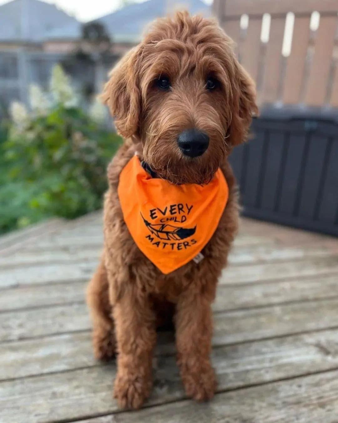 Every Child Matters Bandana - Puppy Artisan