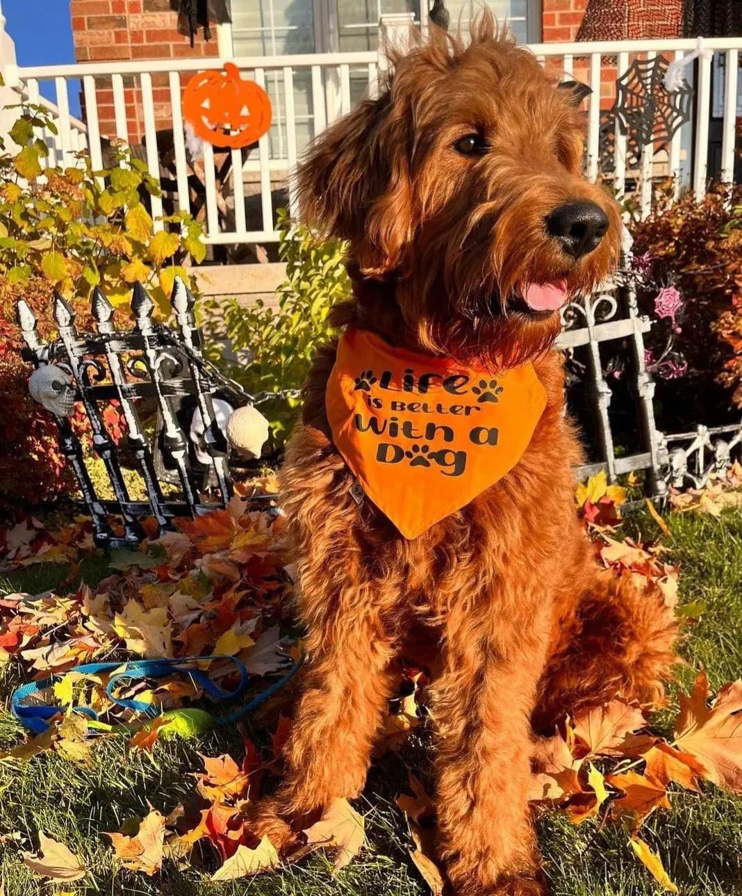 Every Child Matters Bandana - Puppy Artisan