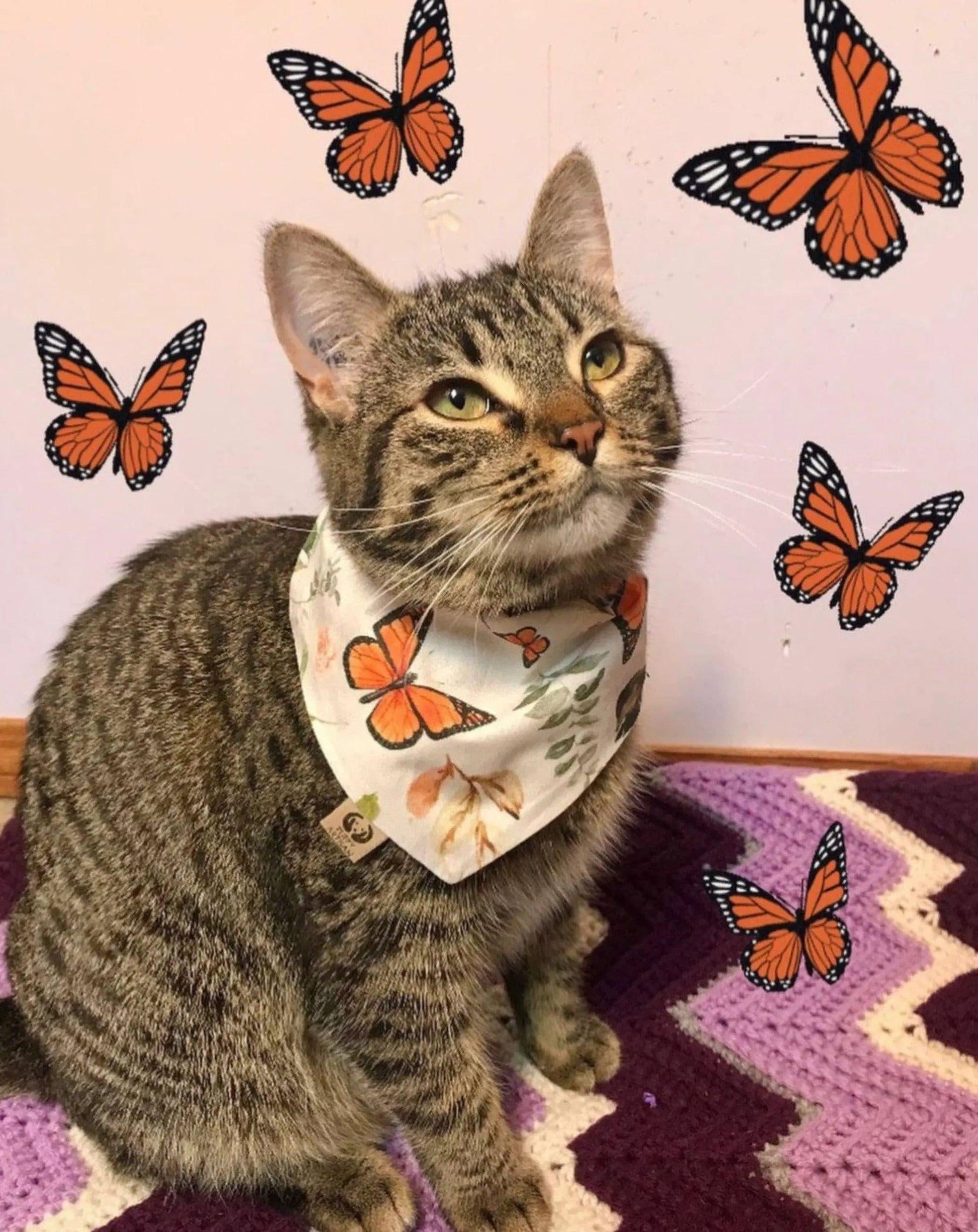 Exclusive Butterfly Love Bandana - Puppy Artisan