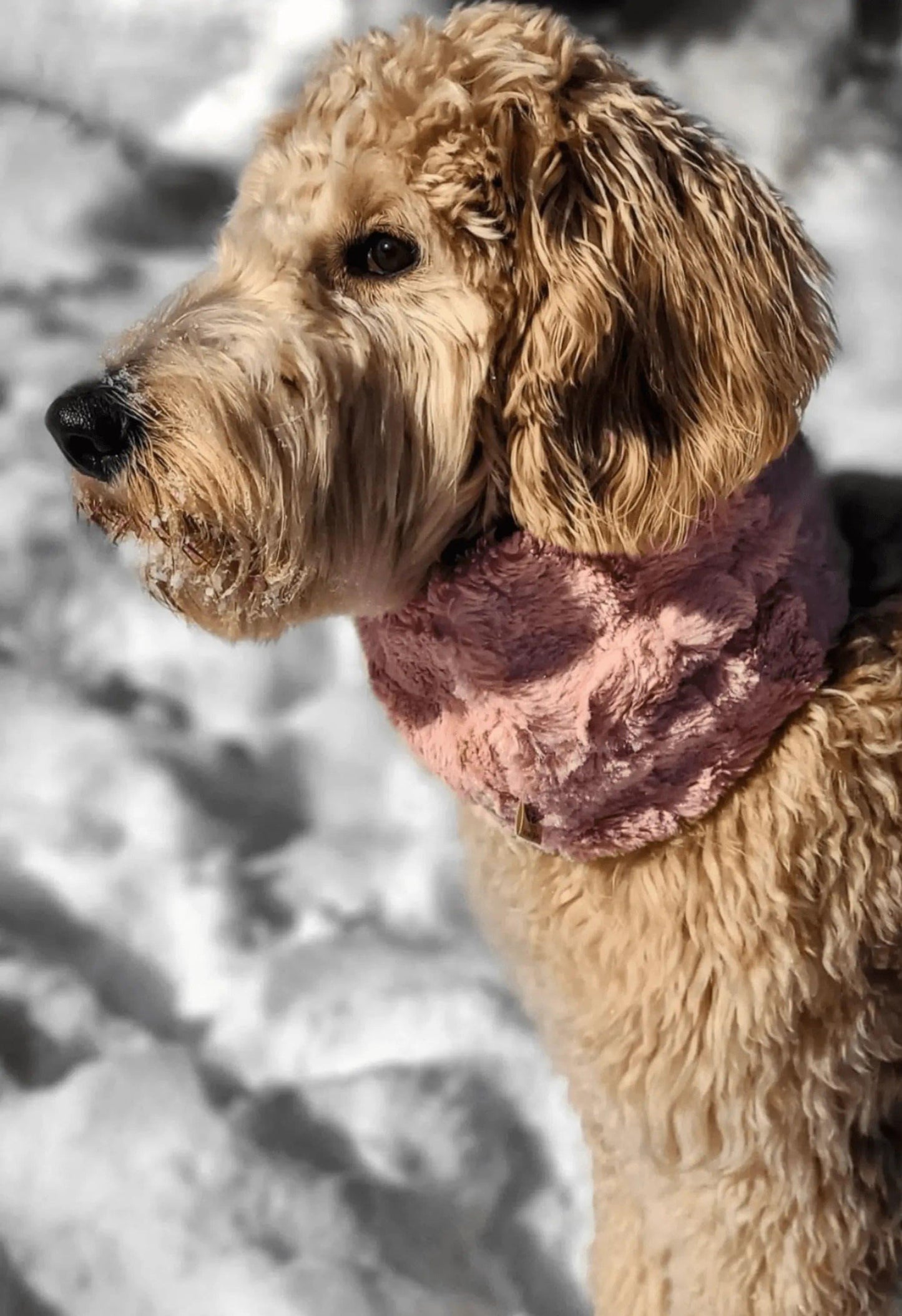 Faux Fur Infinity Scarf - Puppy Artisan