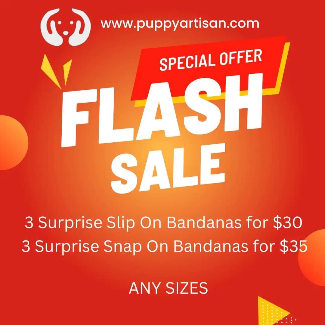 Flash Sale Bandanas - Puppy Artisan