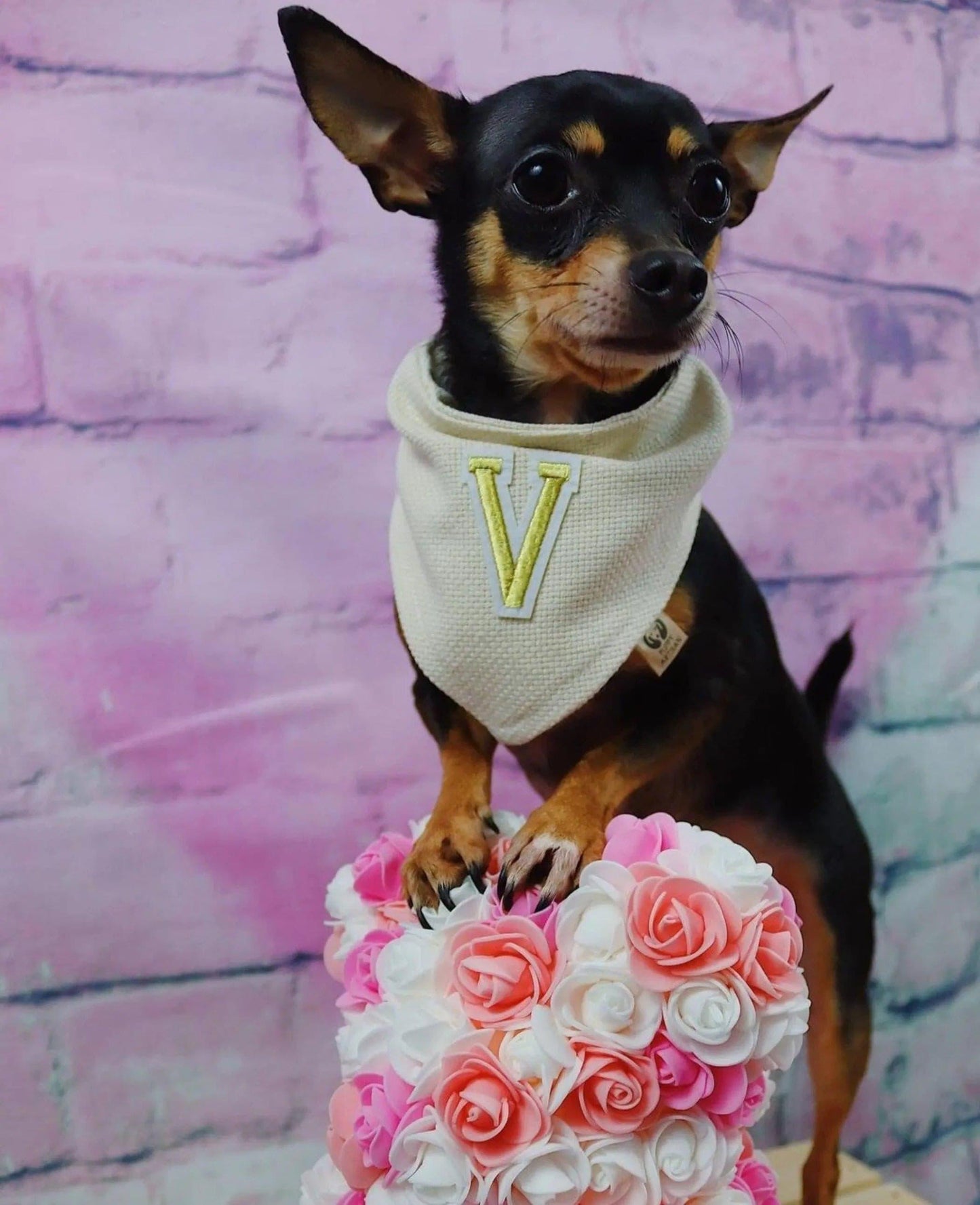 Golden One Letter Bandana - Puppy Artisan