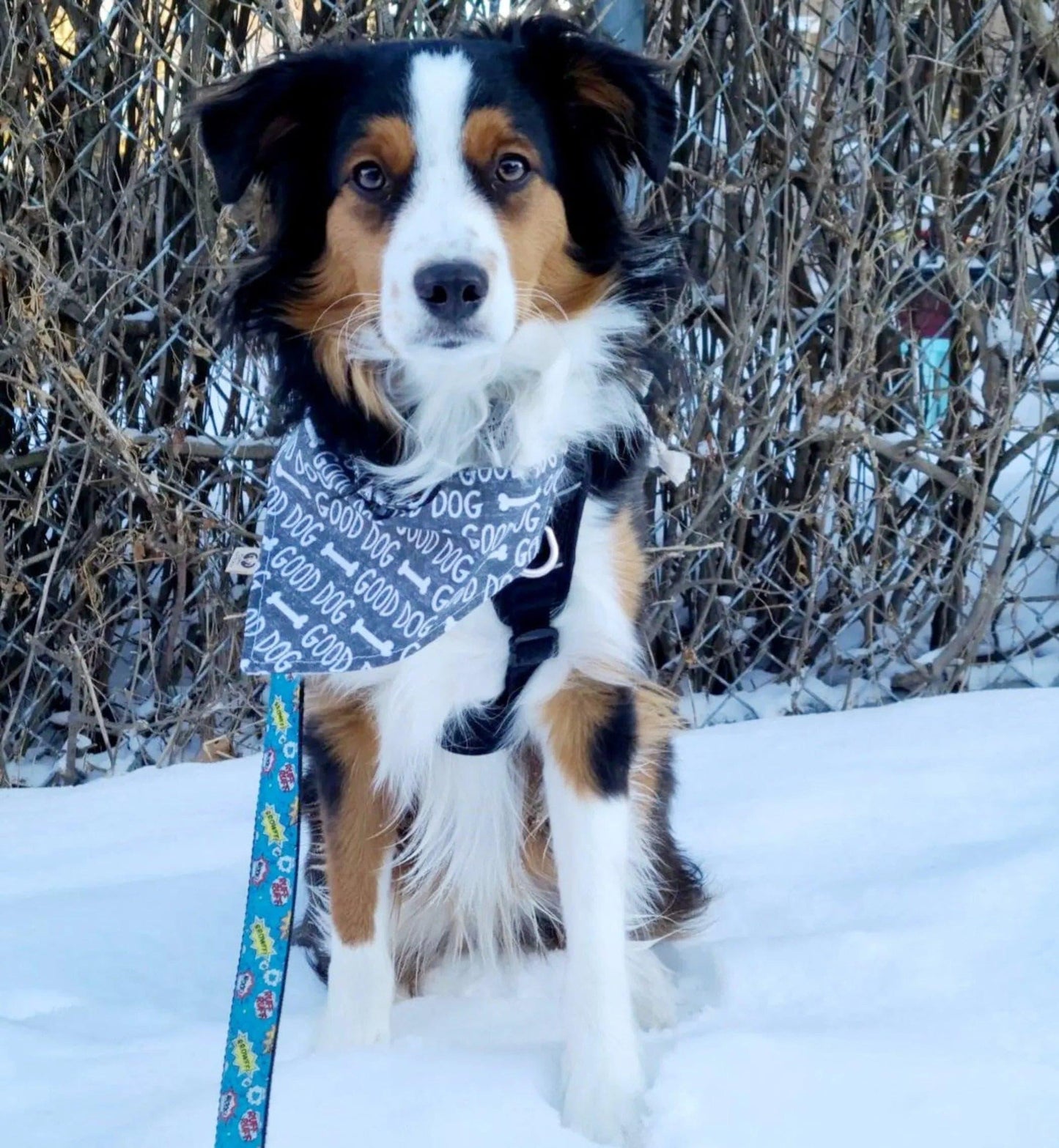 Good Dog Bandana - Puppy Artisan