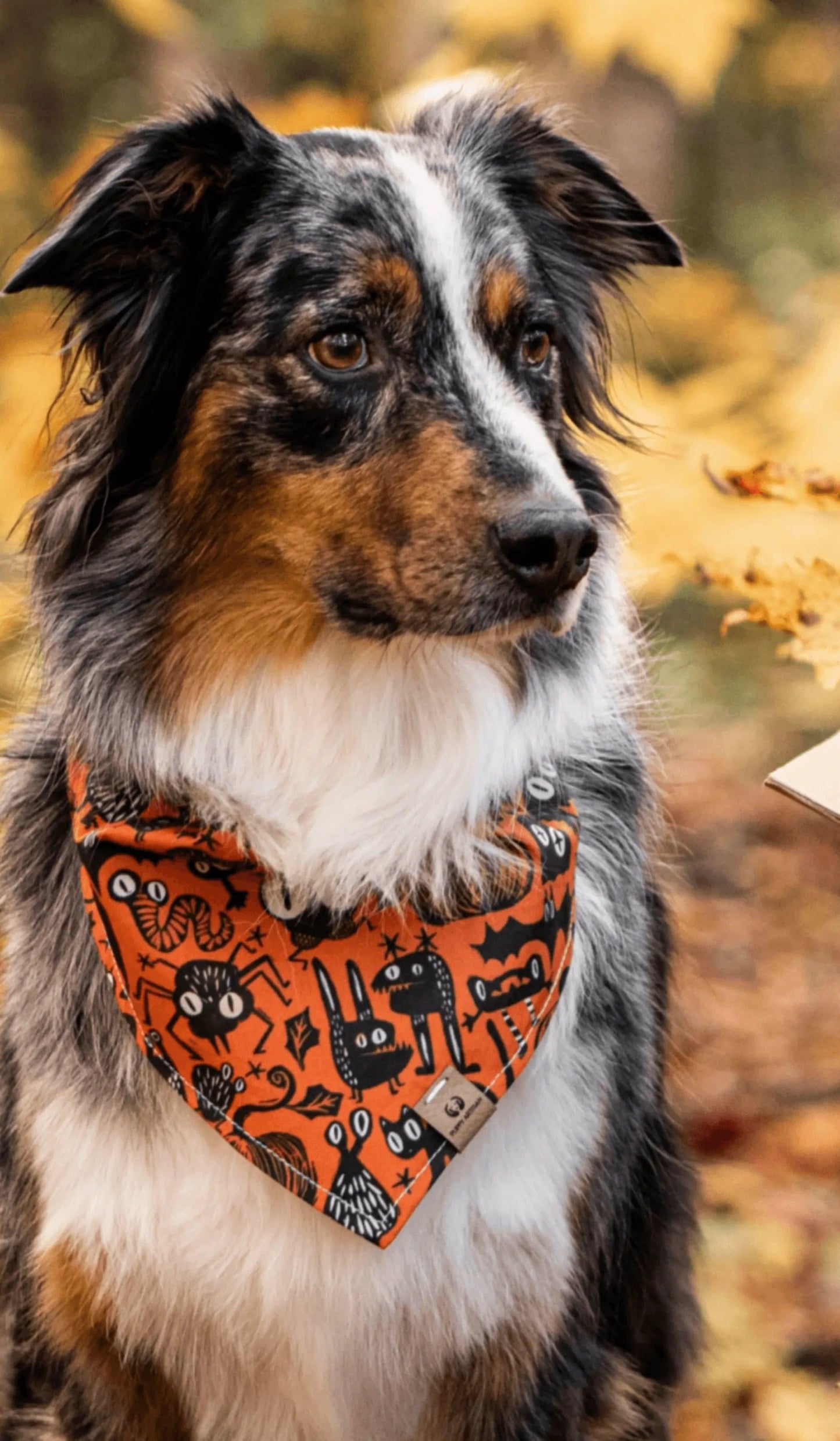 Gothic Halloween Bandana - Puppy Artisan