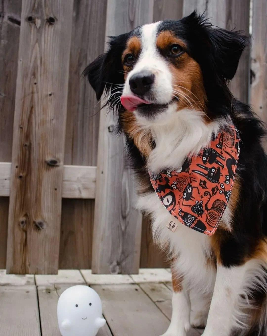 Gothic Halloween Bandana - Puppy Artisan