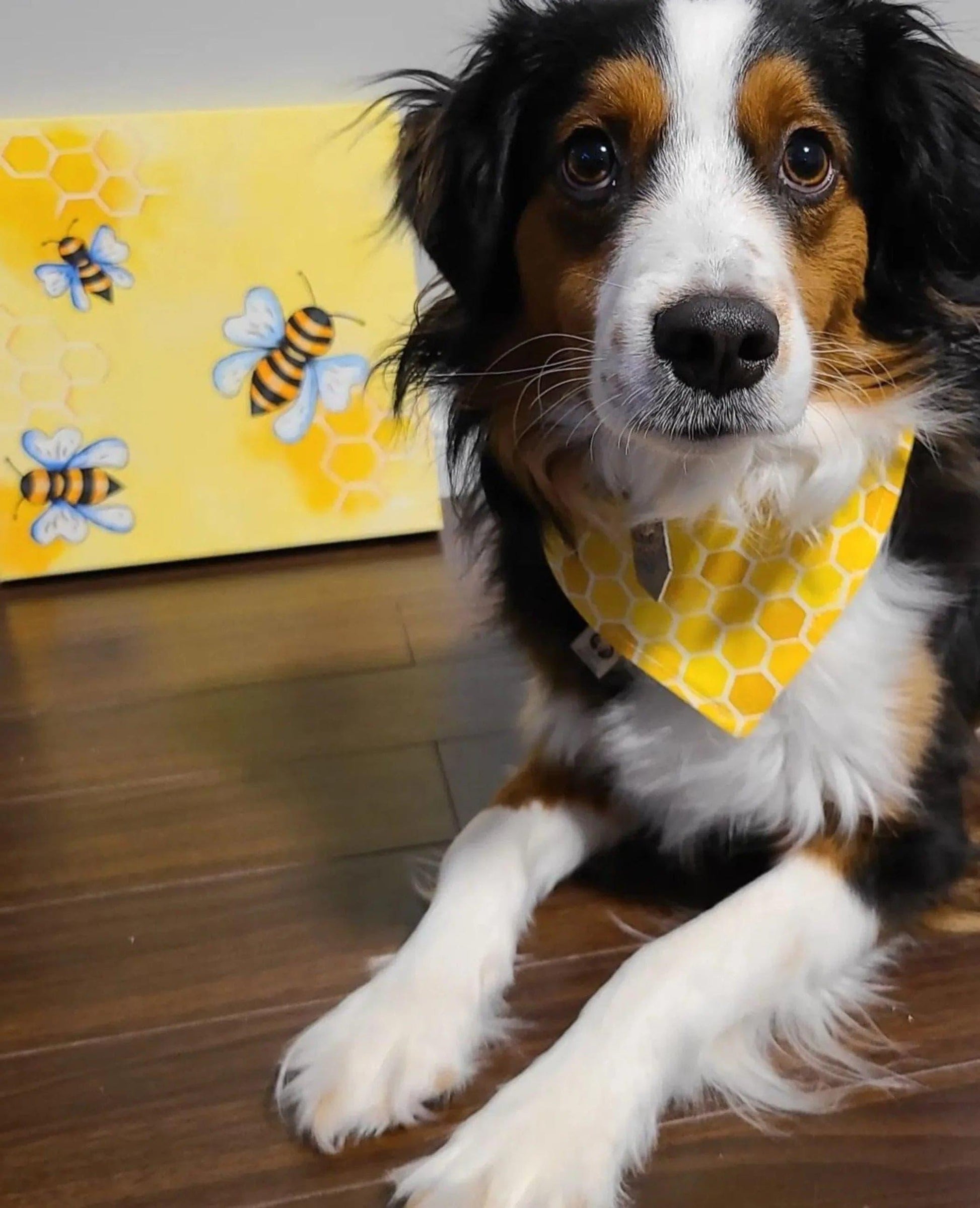 Honey Bees Bandana - Puppy Artisan