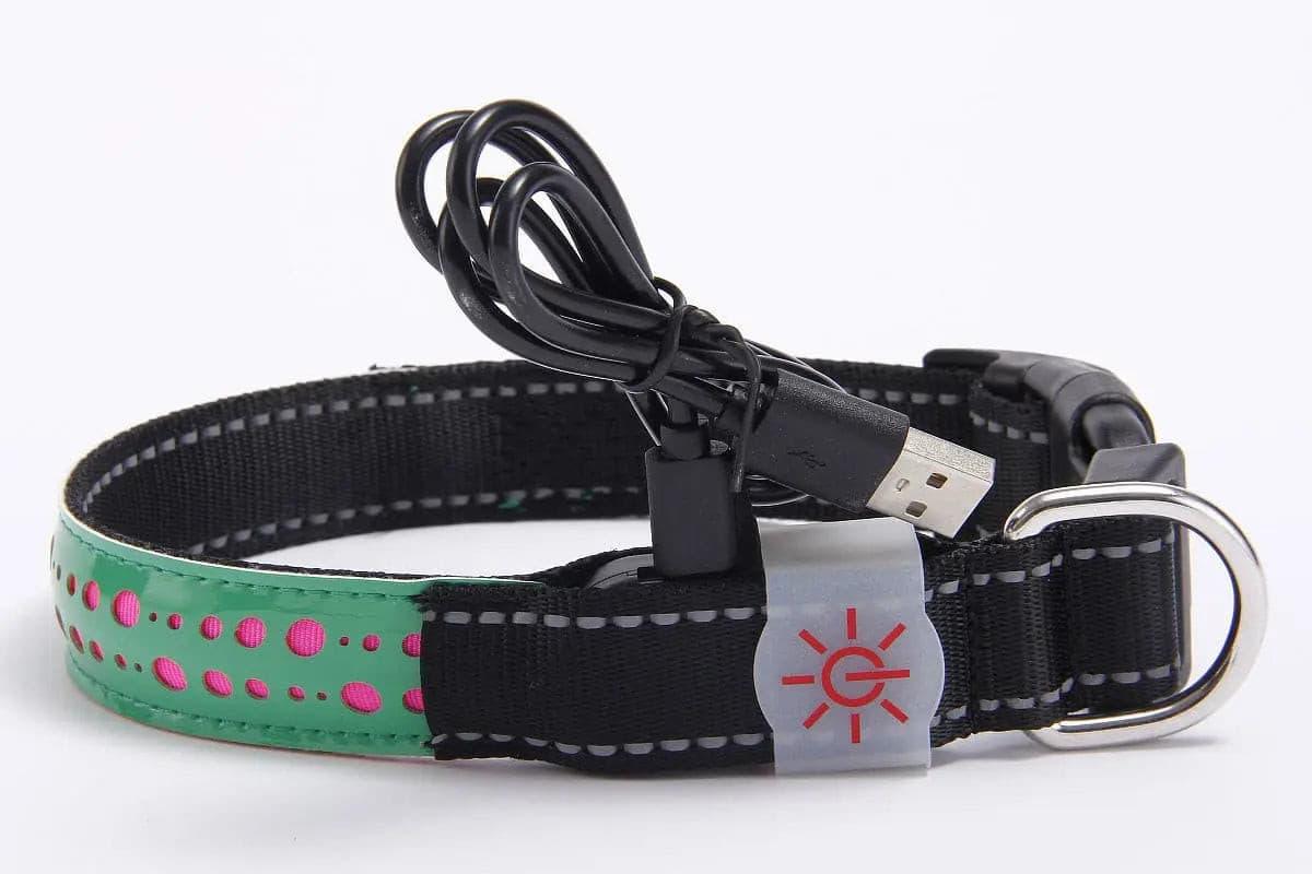 LED Luminous Pet Dog Collar Engraved Leather - Puppy Artisan