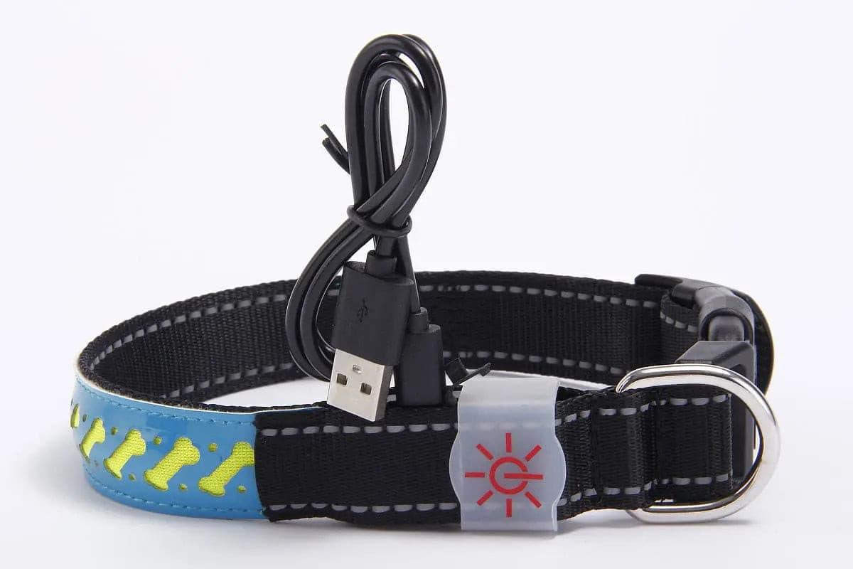 LED Luminous Pet Dog Collar Engraved Leather - Puppy Artisan