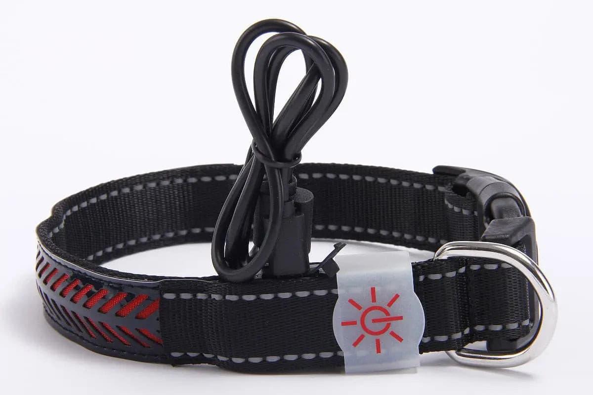 LED Luminous Pet Dog Collar Engraved Leather - Puppy Artisan