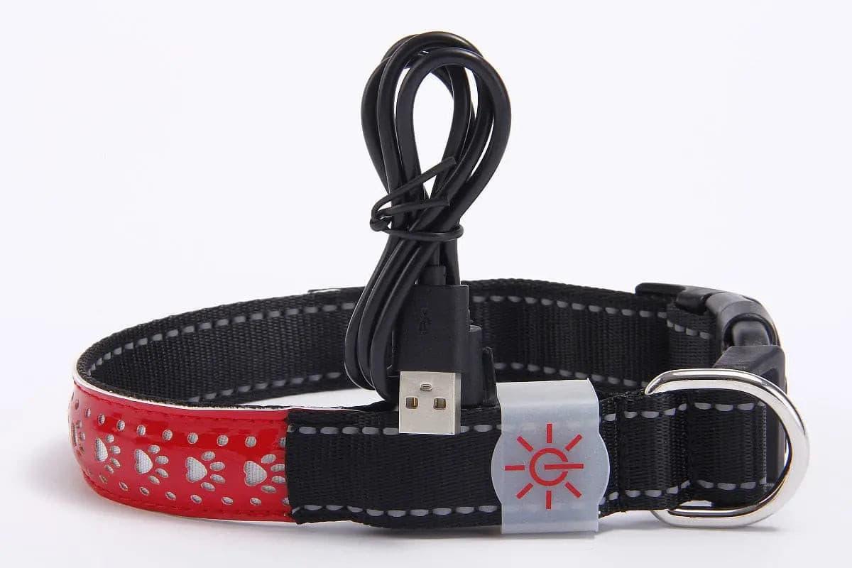 LED Luminous Pet Dog Collar Engraved Leather - Puppy Artisan