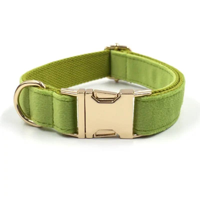 Matcha Green Collar Leash Bowtie Set - Puppy Artisan