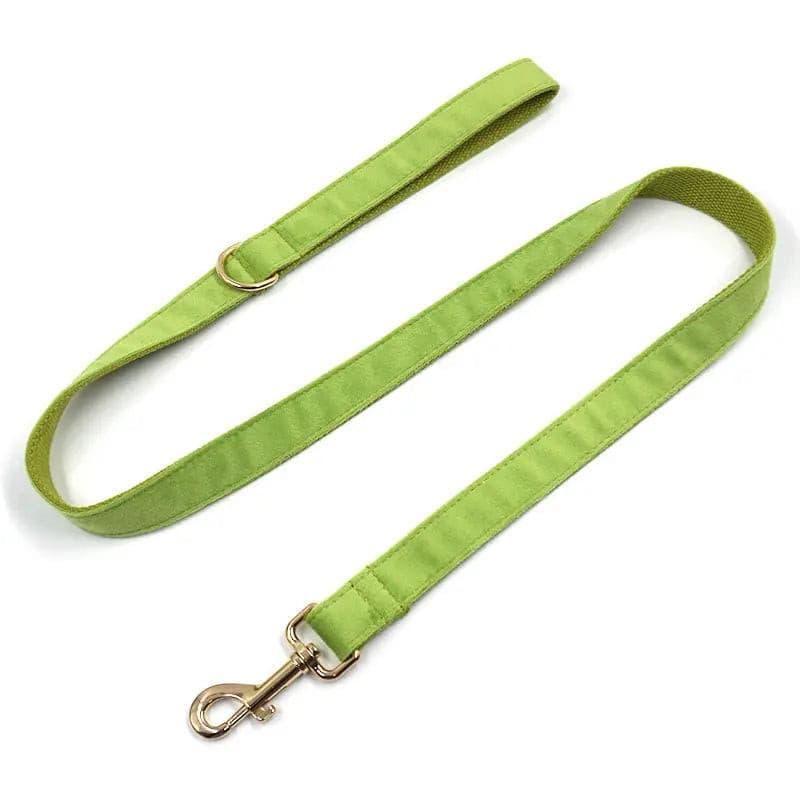 Matcha Green Collar Leash Bowtie Set - Puppy Artisan