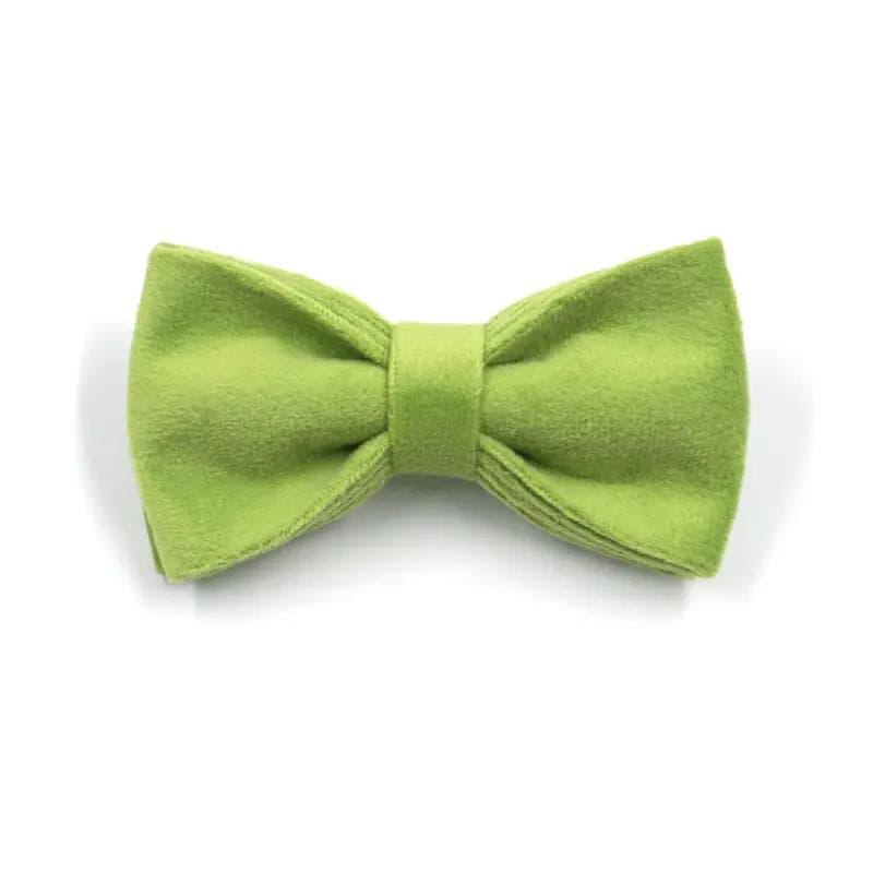 Matcha Green Collar Leash Bowtie Set - Puppy Artisan