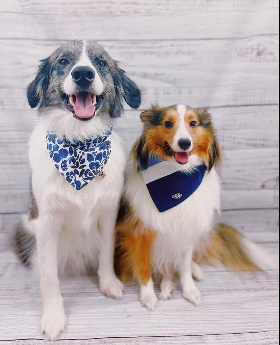 Navy Floral Indigo Rain Bandana - Puppy Artisan