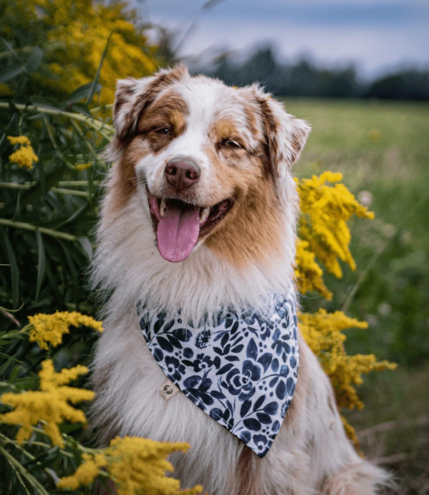 Navy Floral Indigo Rain Bandana - Puppy Artisan