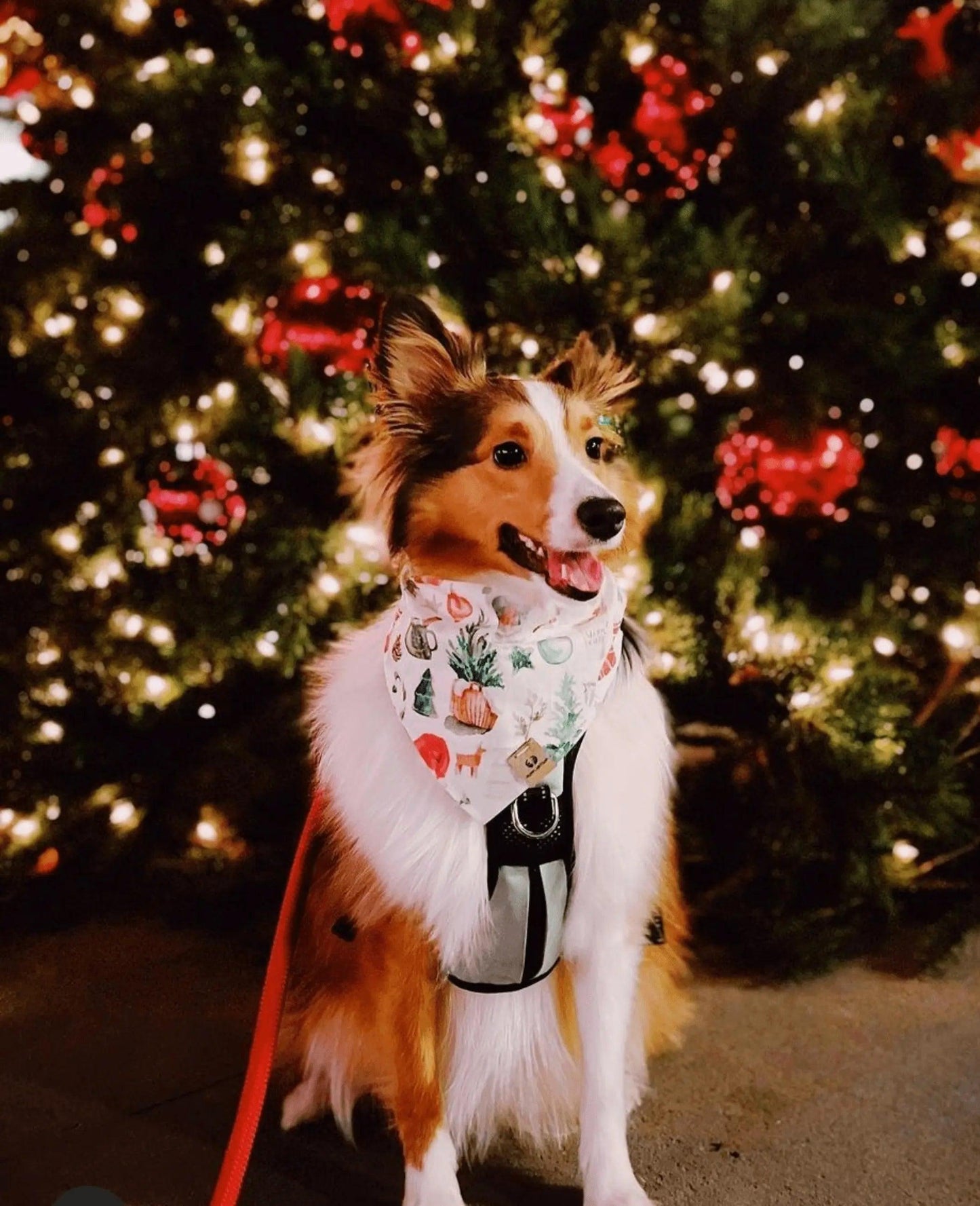 Noel Christmas Bandana - Puppy Artisan