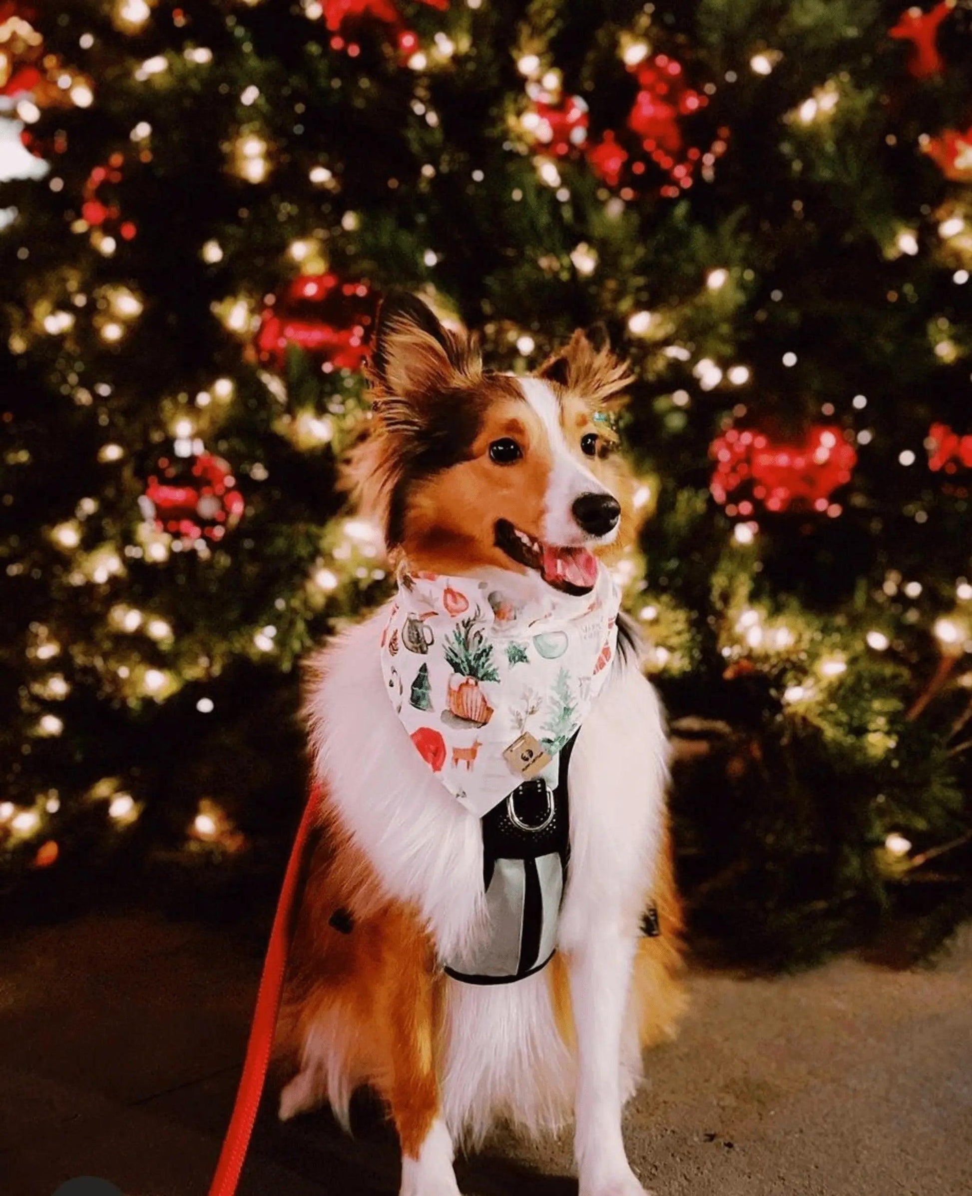 Noel Christmas Bandana - Puppy Artisan