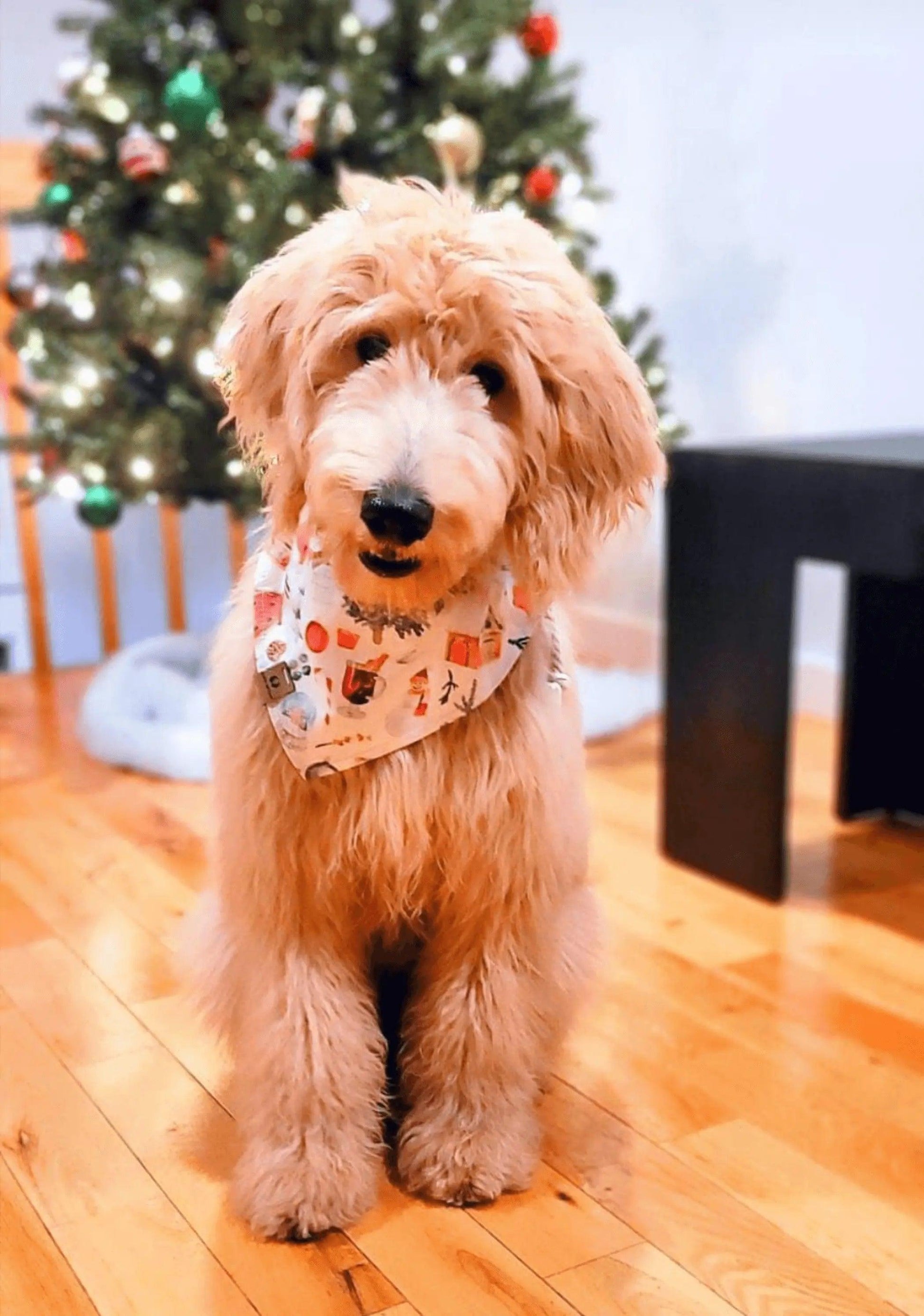 Noel Christmas Bandana - Puppy Artisan