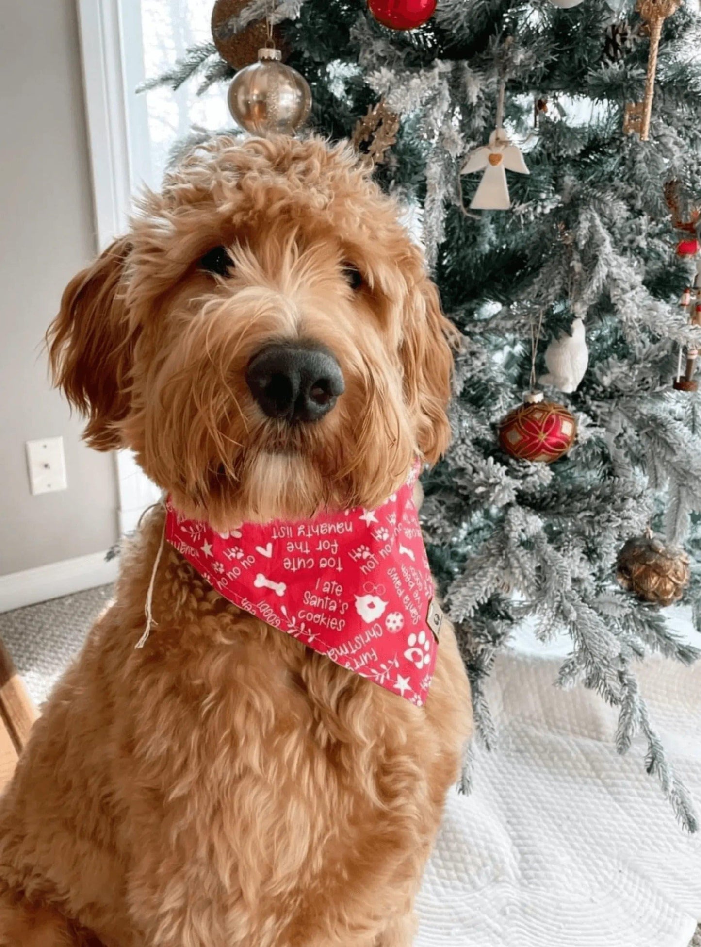 Noel Christmas Bandana - Puppy Artisan