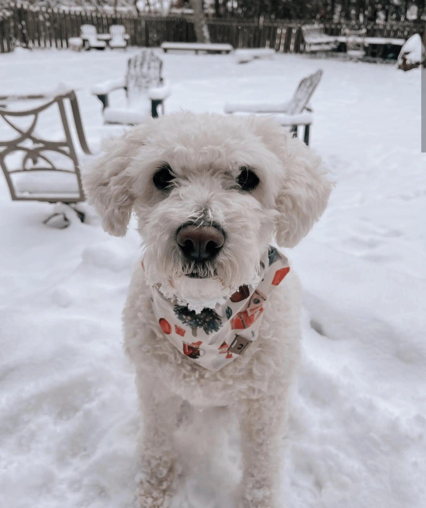 Noel Christmas Bandana - Puppy Artisan