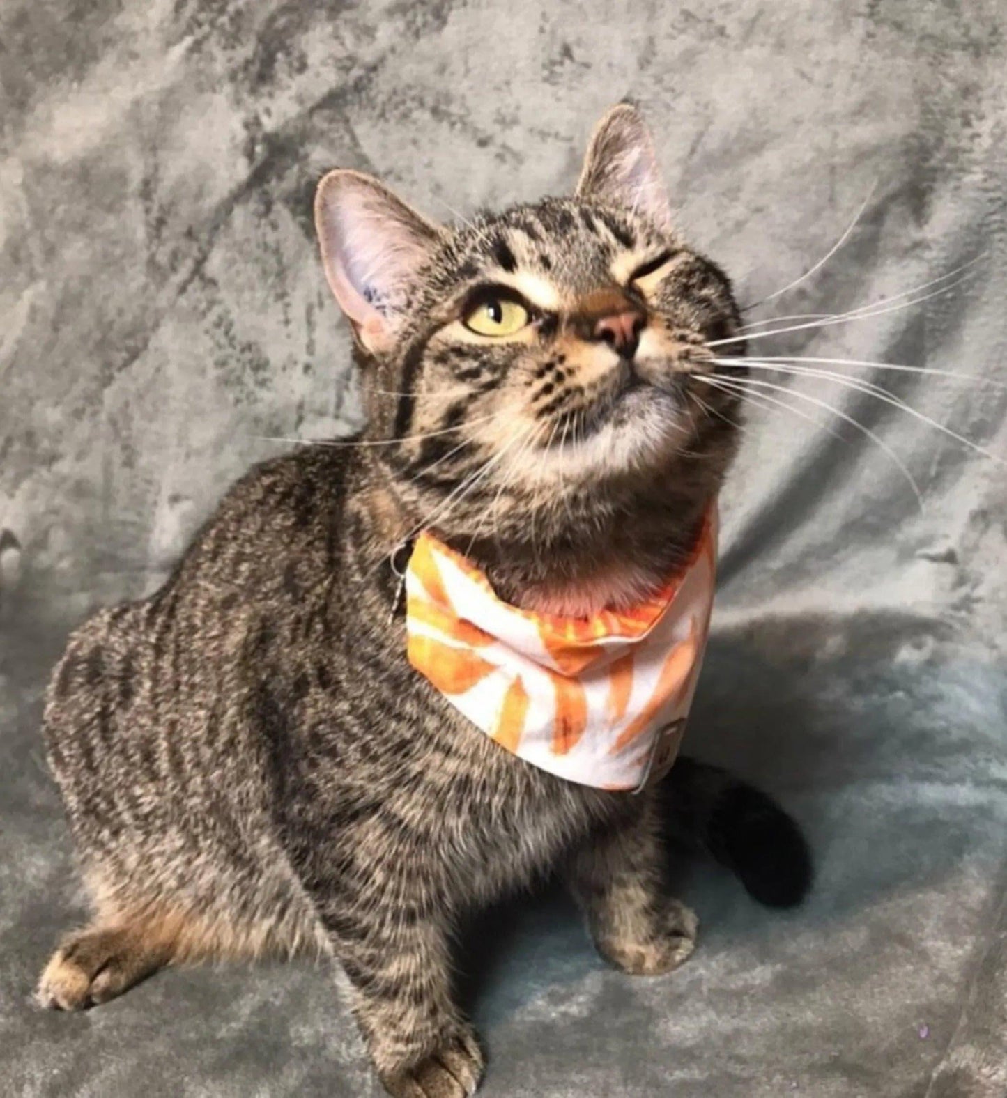 Orange Leaves Bandana - Puppy Artisan