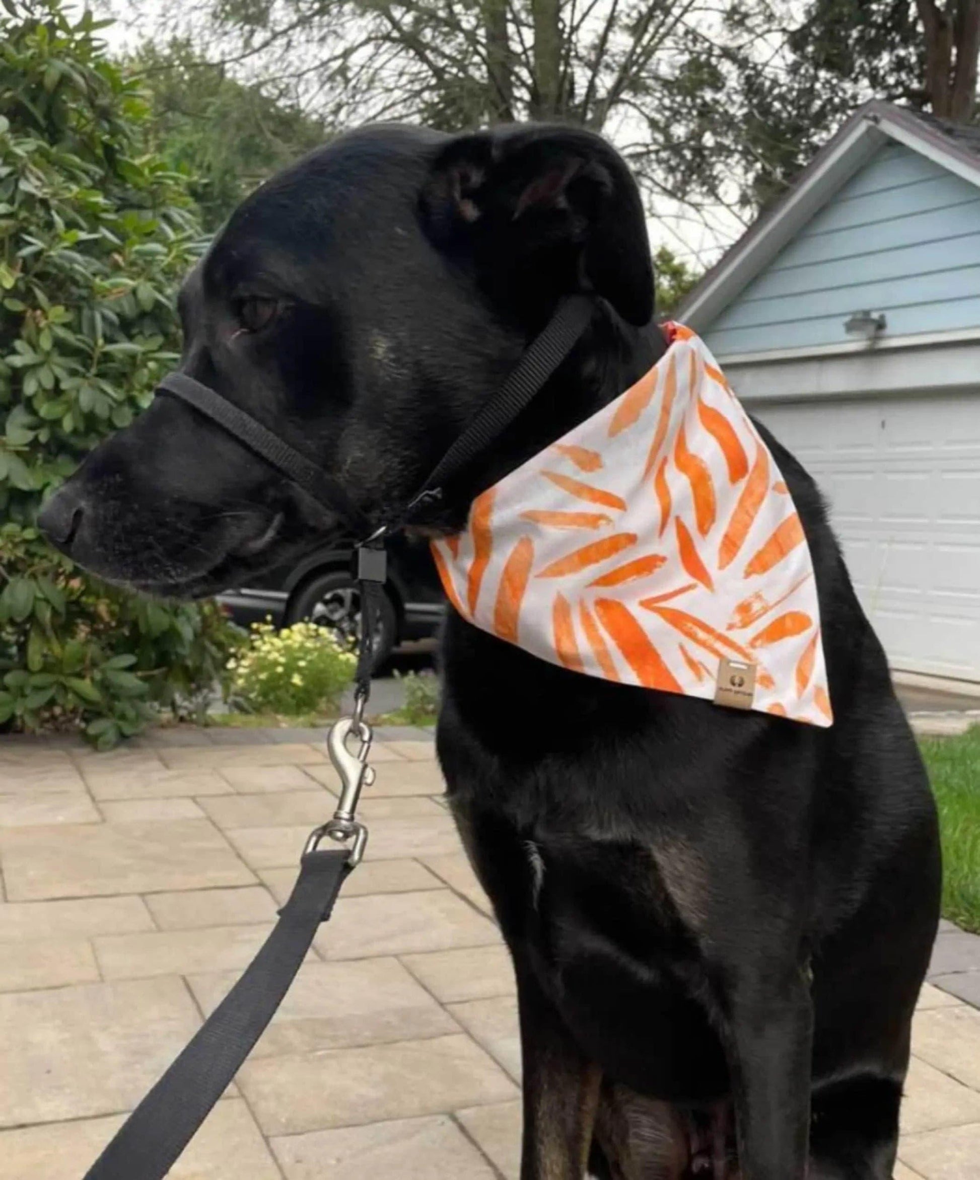 Orange Leaves Bandana - Puppy Artisan