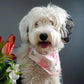 Pink Floral Bandana - Puppy Artisan