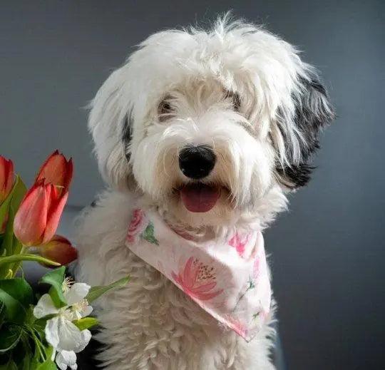 Pink Floral Bandana - Puppy Artisan