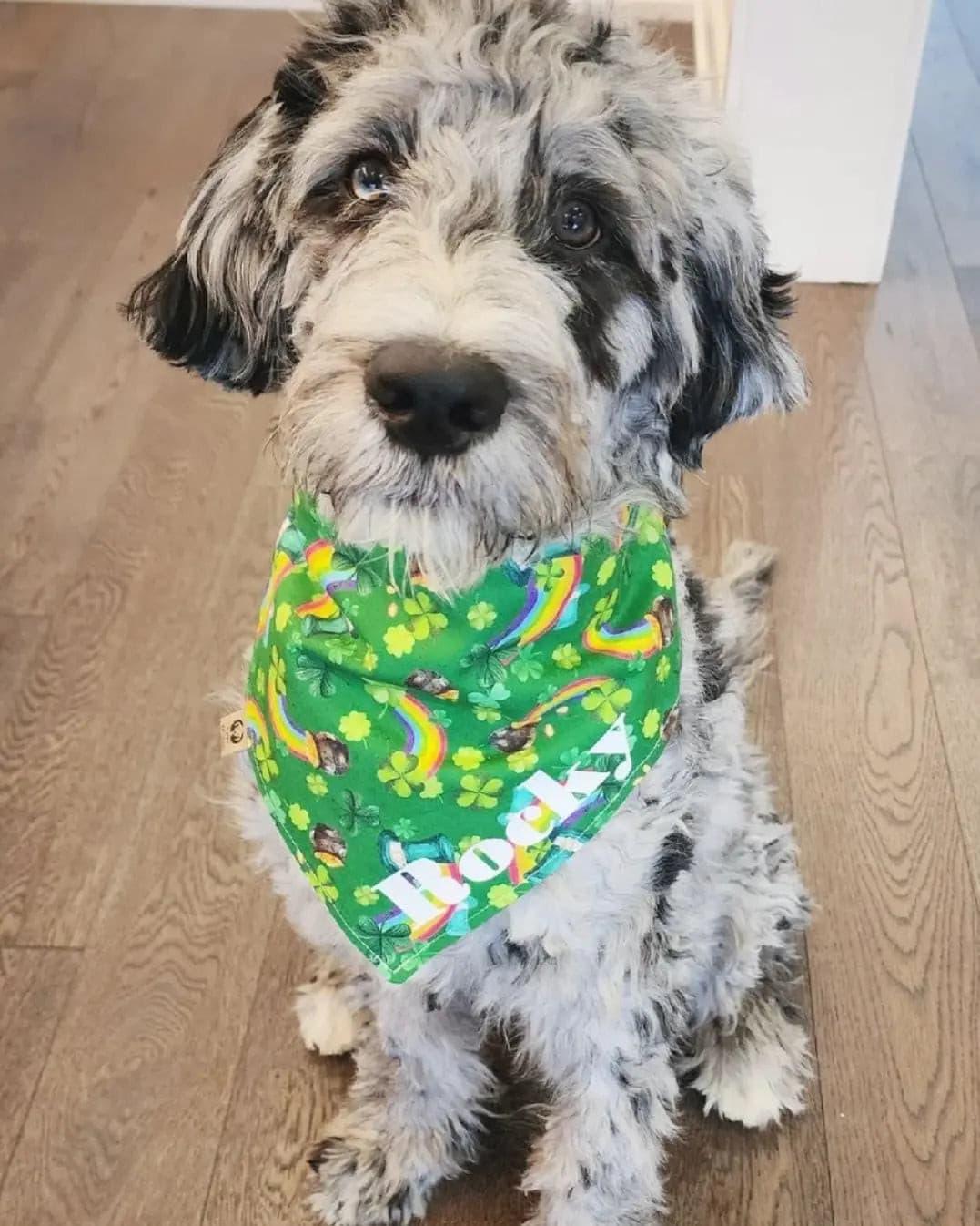 Pots of Gold & Rainbows Bandana - Puppy Artisan