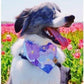 Purple Watercolor Flowers Bandana - Puppy Artisan