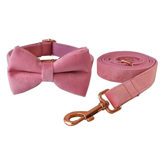 Rose Gold Velvet Collar Leash Bowtie Set - Puppy Artisan
