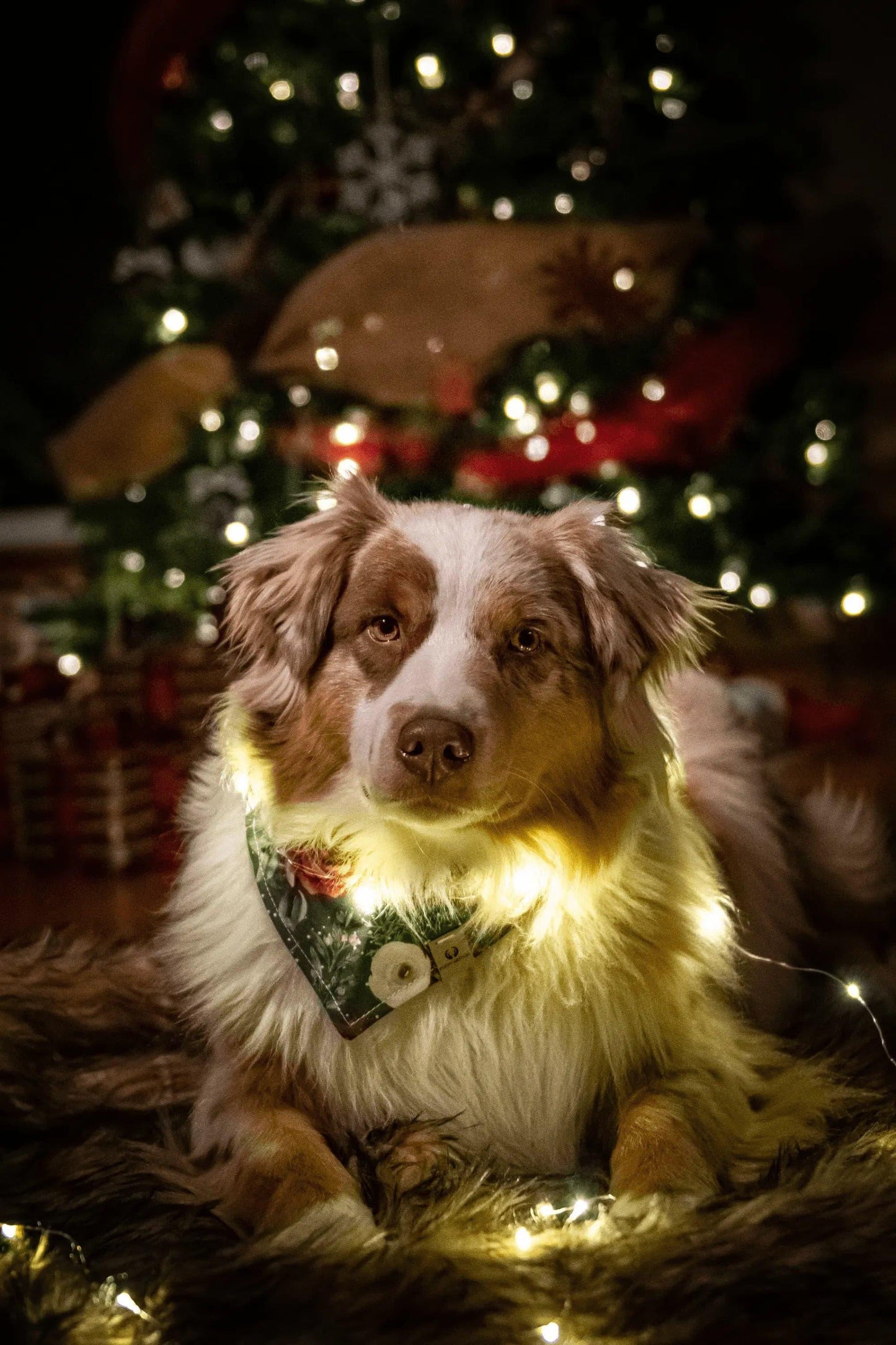 Snowy Christmas Florals Bandana - Puppy Artisan