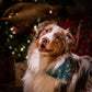 Sweet Boho Christmas Bandana - Puppy Artisan