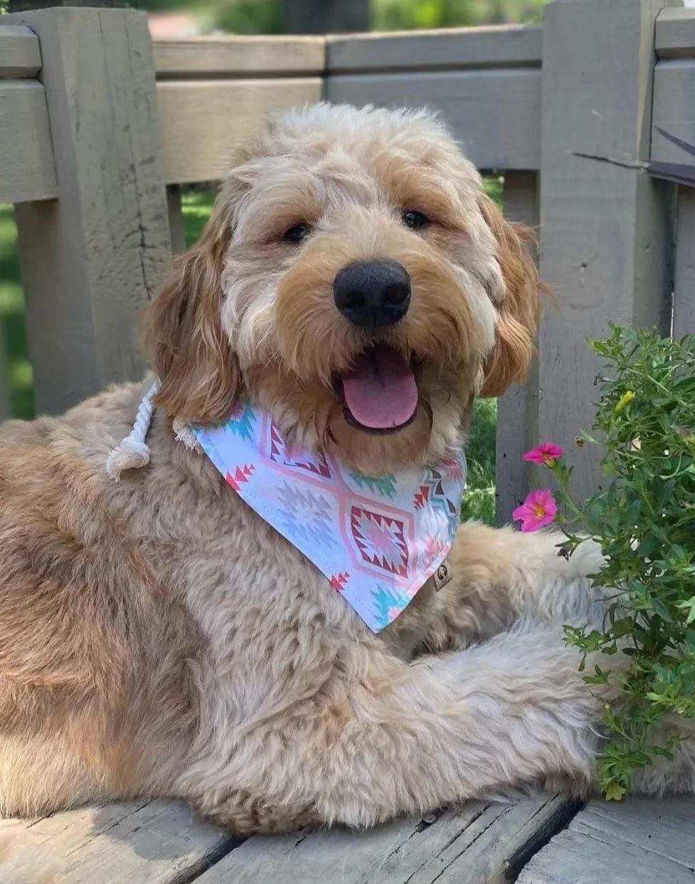 Woven Aztec Bandana - Puppy Artisan