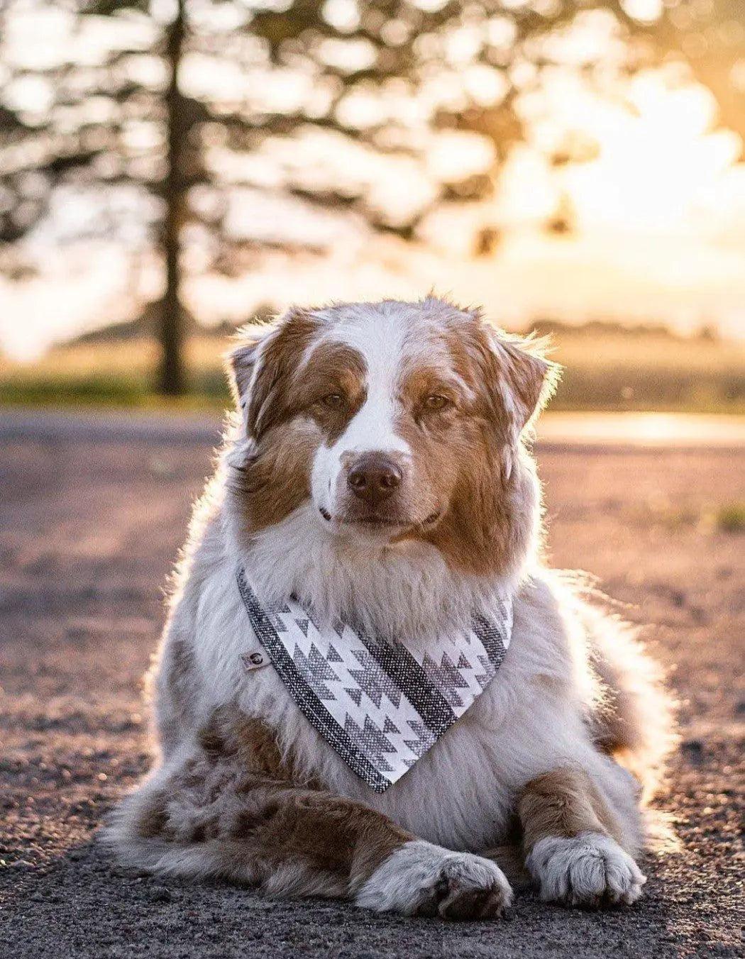 Woven Aztec Bandana - Puppy Artisan