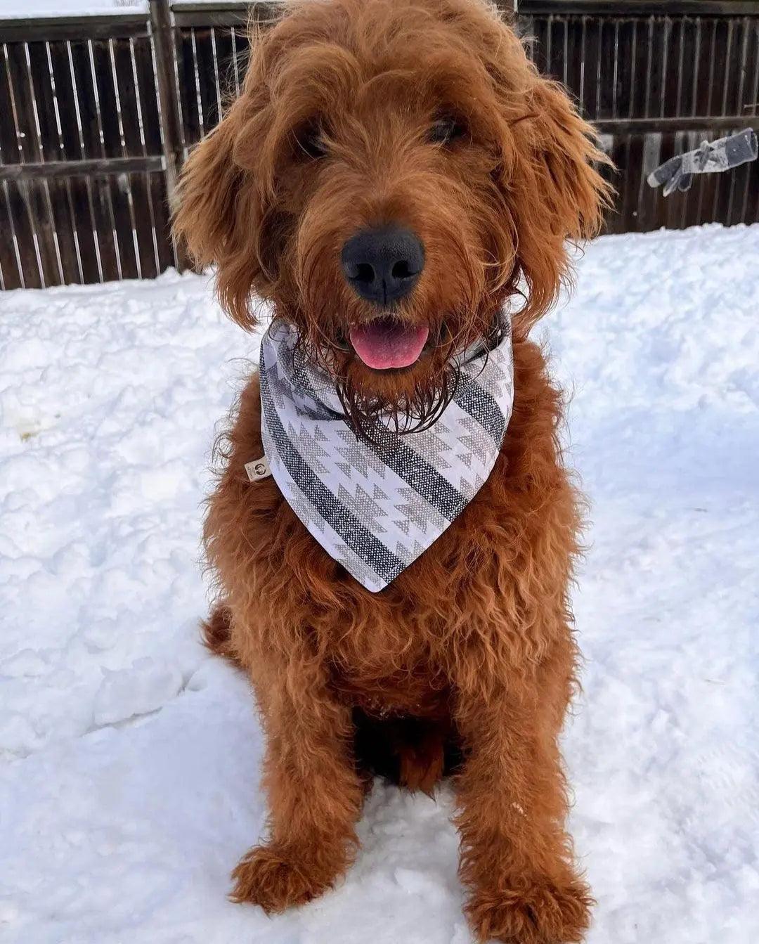 Woven Aztec Bandana - Puppy Artisan